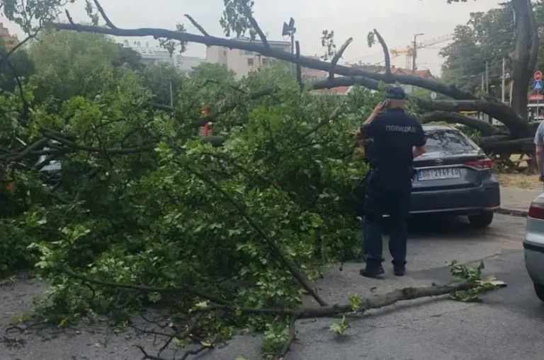 SILNO NVREME PUSTOShI, PAGjAAT DRVJA , LETAAT KOSILKI, NIZ SRBIJA